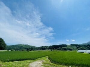 都市計画法について