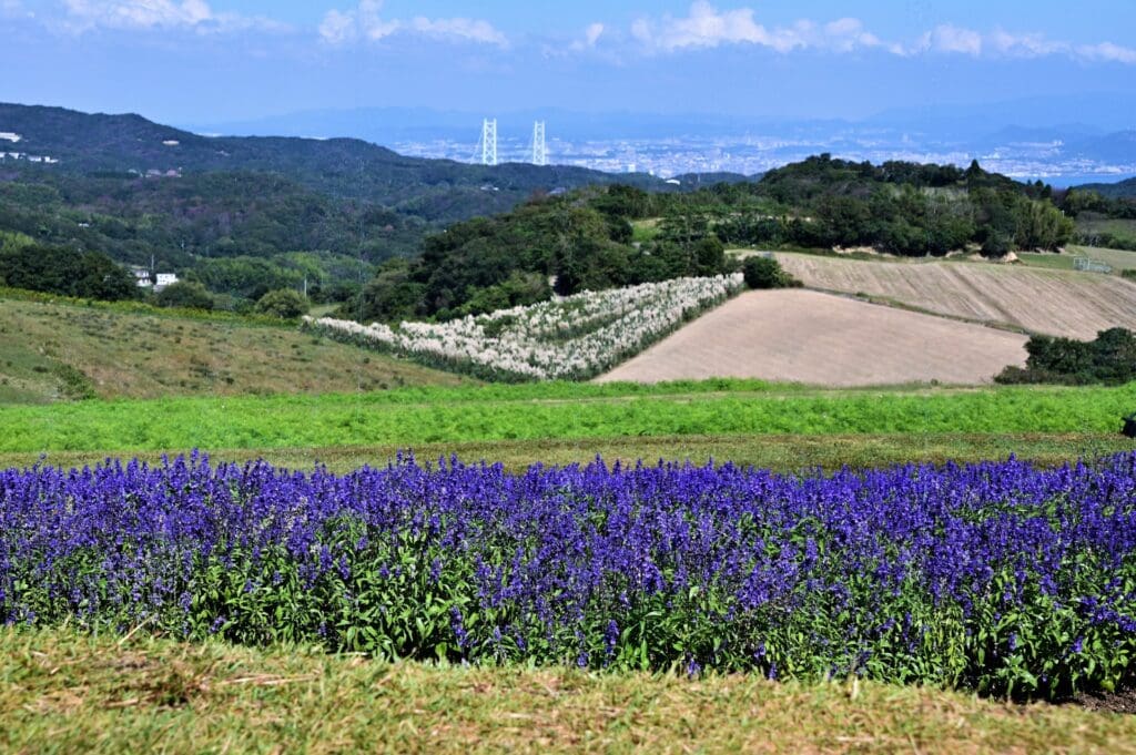 自然豊かな淡路市