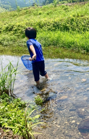 田舎で川遊び